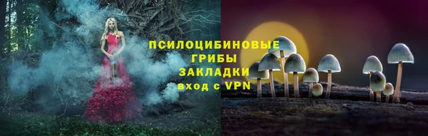 первитин Абинск