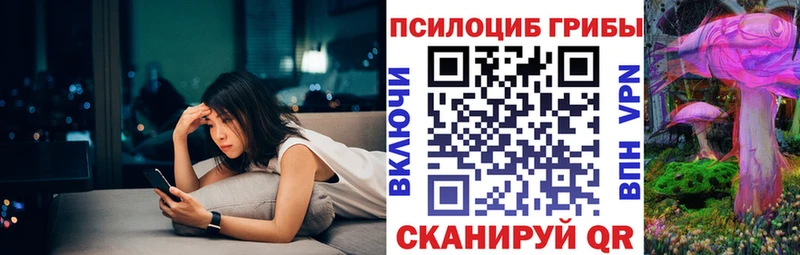 Псилоцибиновые грибы Psilocybe  магазин    даркнет Telegram  Козловка 
